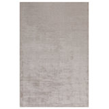 Area Rug in Beige