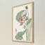 « botanique gloriosa lotus ii », impression encadrée-1048224676