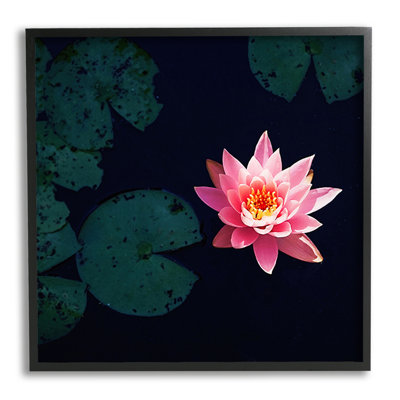 Au-661-Giclée, étang de lotus rose par Jessica Manelis, photographie