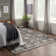 Nolyn Persian Area Rug