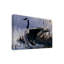 «Canada Goose» de Berrien, reproduction d'art graphique sur toile tendue-27651300