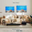 Seashell treasure Aletra-108690725