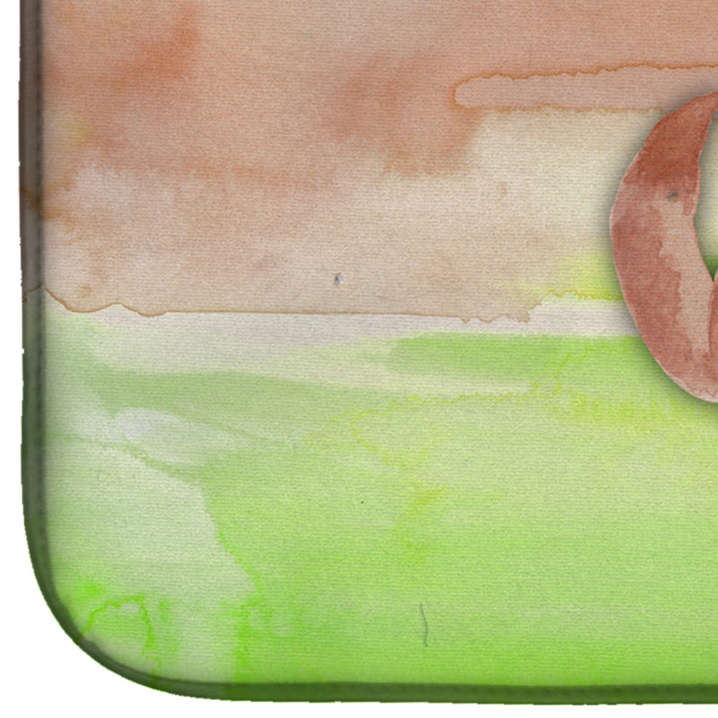 Tapis de séchage pour aquarelle pour chien