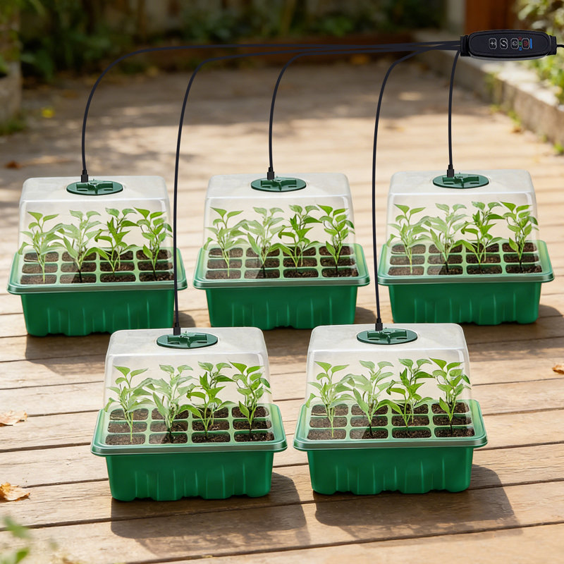 Ensemble de démarrage de graines à 5 niveaux avec lumières de croissance DEL - dôme d'humidité et évents, plateau de germination des graines réutilisable pour les légumes, les herbes et les fleurs