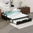 Twin Extending Daybed With Trundle, Wooden Daybed With Trundle-1101411777