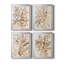 Parchemin corail I, toile encadrée de qualité supérieure - prête à être accrochée-348263571-348263568