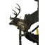 Rustic Lodge 12 - Light Chandelier