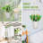 Aeona Weather Resistant Plant Hanger