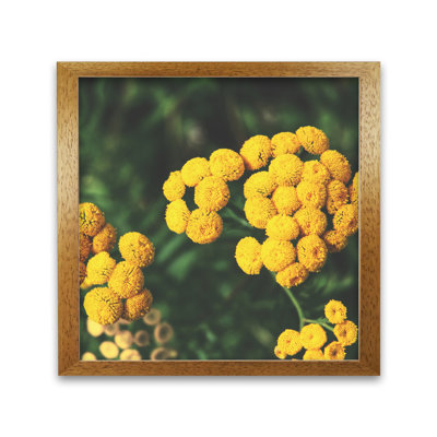 Infinite Blossom by Nur Mut - Single Picture Frame Print