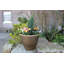 Hamish Pot Planter-2069242687-2110753808