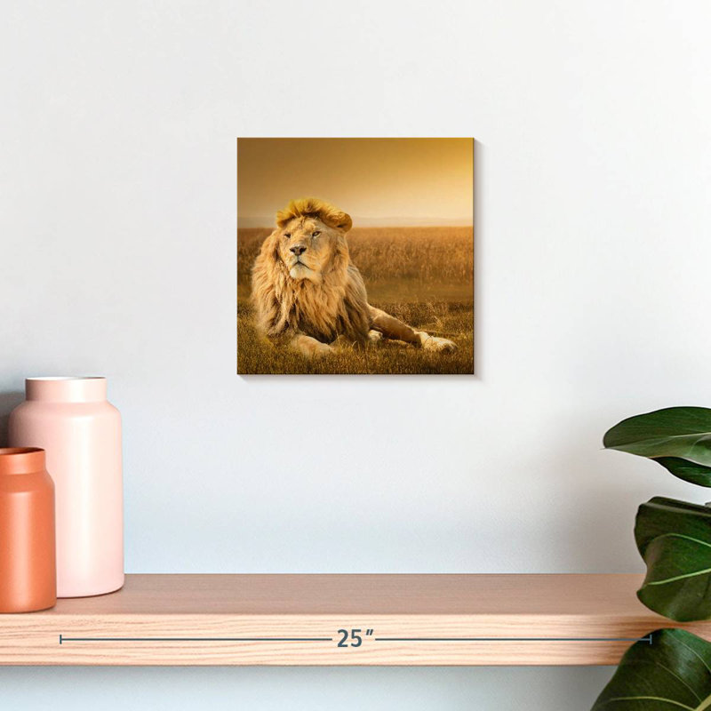 Crowle Glorious Lion In Safari, H 10 po x l 10 po