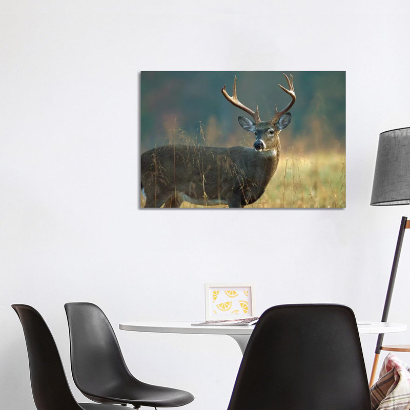 White-Tailed Deer Portrait, North America 1 Piece Wrapped Canvas Wall Art, 101.6 cm H x 66.04 cm W x 1.91 cm D