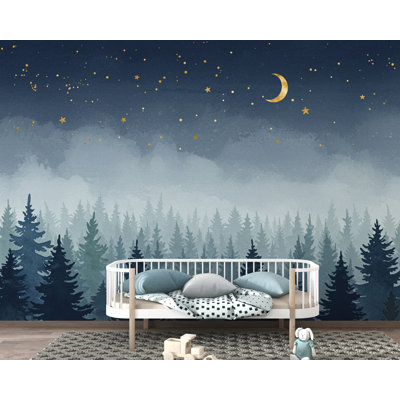 Dreamy Night Forest