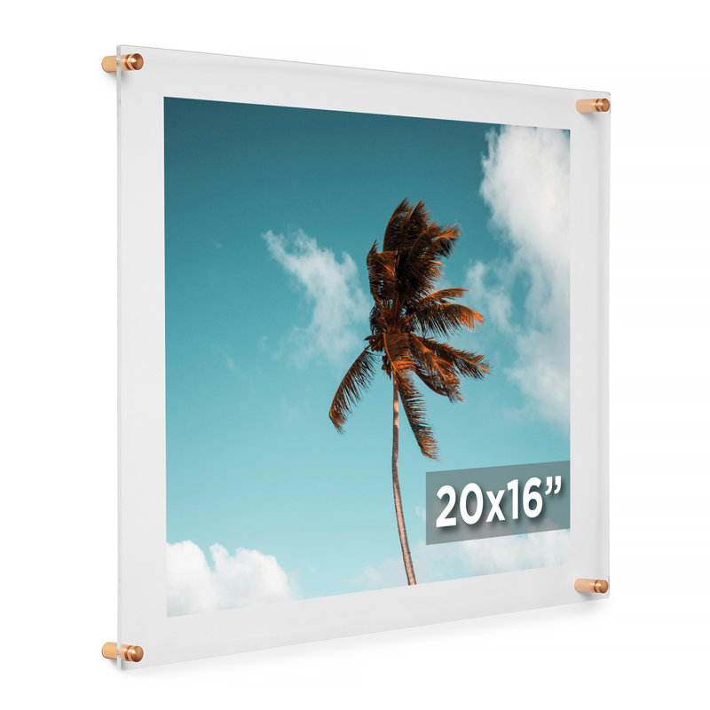 Devian Clear Acrylic Floating Picture Frame, 16" x 20", Gold