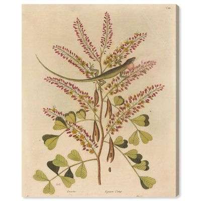Green Lizard Canvas by Art Remedy