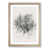 Oak Framed selected