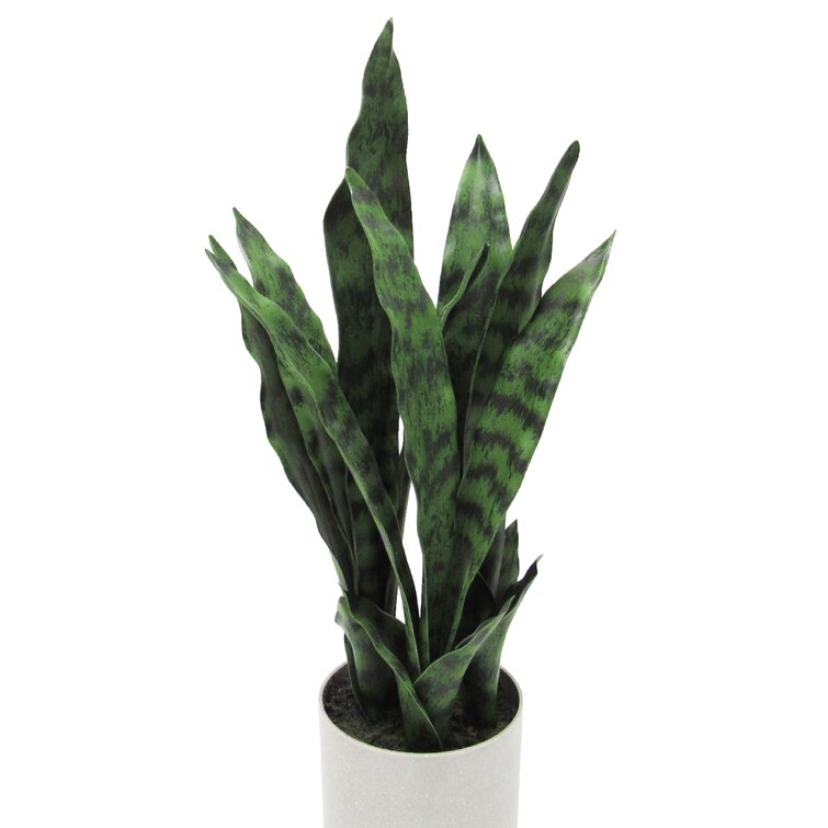 Faux Snake Plant in Speckled Pot