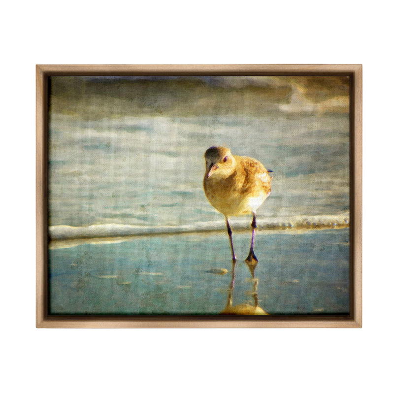 "Stepping Sandpiper at Shore", art mural sur toile flottante par GraffiTee Studios, H 25 po x l 31 po