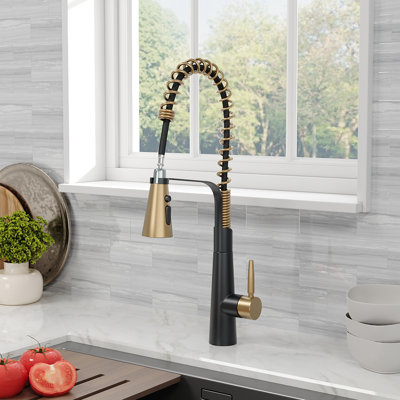 Belfry Kitchen Dunfee Pull Out Kitchen Faucet