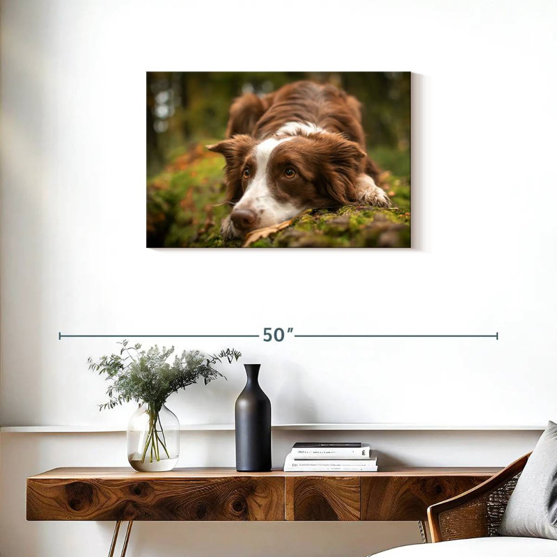 Brampt Lovable Border Collie, 20'' H x 30'' W