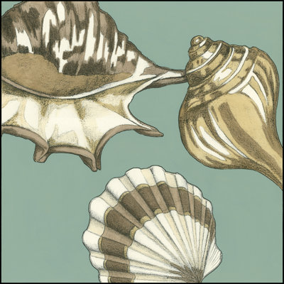Small Shell Trio On Blue III by Megan Meagher - Wrapped Canvas Print