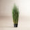 PVC Artificial Potted Green Curled Grass