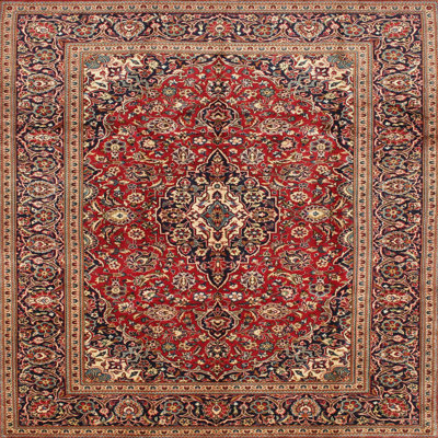 Aleeza Oriental Indoor Rug
