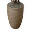 Cherry Blossom and Dragon Wood Tree in Rope Pot