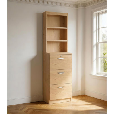 Jeremy 48cm Wide 3 -Drawer File Cabinet