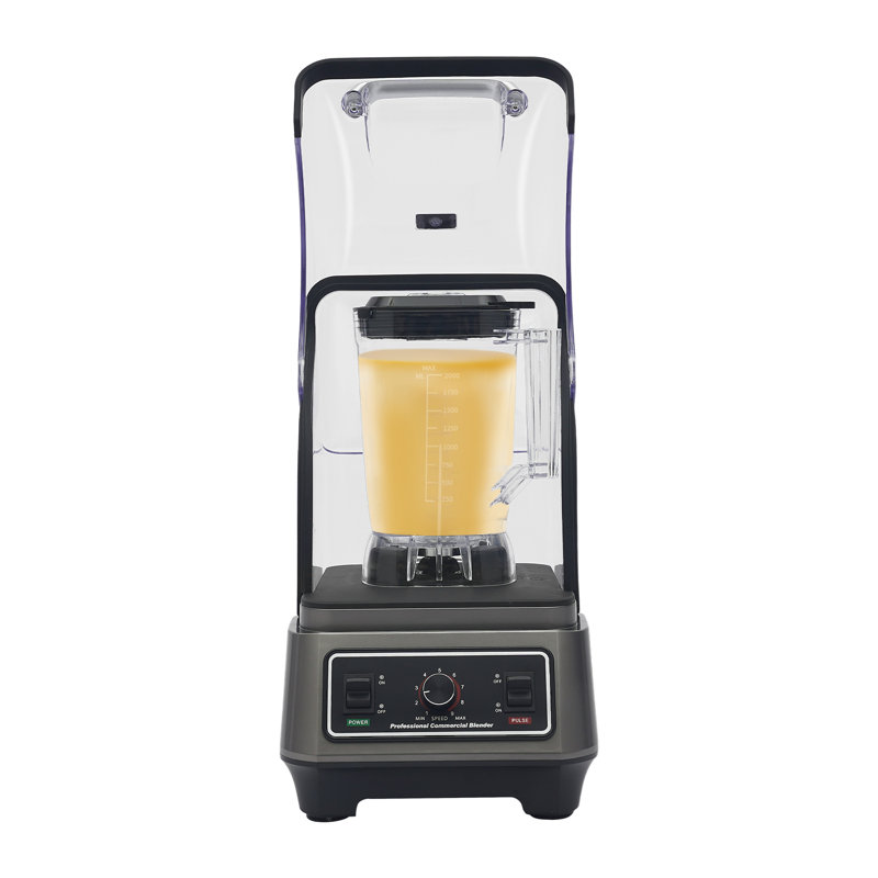 Multifunctional Blender With Thick Shield