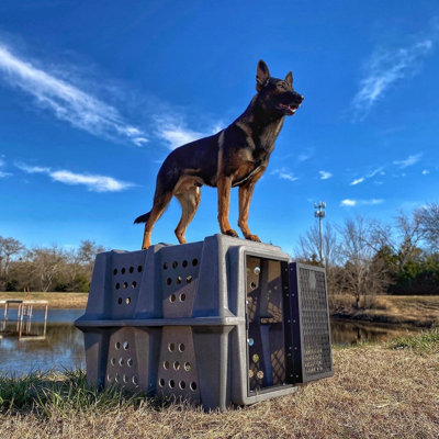 Plastic Pet Crate with 1 Door