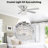 Caenas 52'' Ceiling Fan with Light Kit
