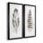 Feather Fancy I - Natural History Print, Matted and Framed Under Acrylic Glass, Set of 2, Study and Living Room Wall Art