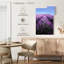 Lavande française Alvord Provence-108390111