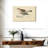 Snow Bunting Print-143479471