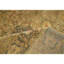 One-of-a-Kind 6'6" X 15'4" Area Rug