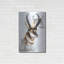 "Pronghorn" par Barbara Keith-2090548343