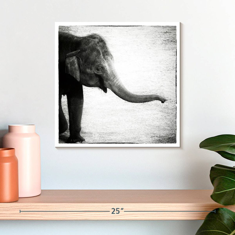 Crowle bébé éléphant monochrome, H 16 po x l 16 po