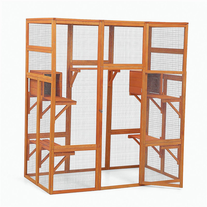 Grande enceinte pour chat avec 5 perchoirs, 2 condos et 1 porte verrouillable, orange