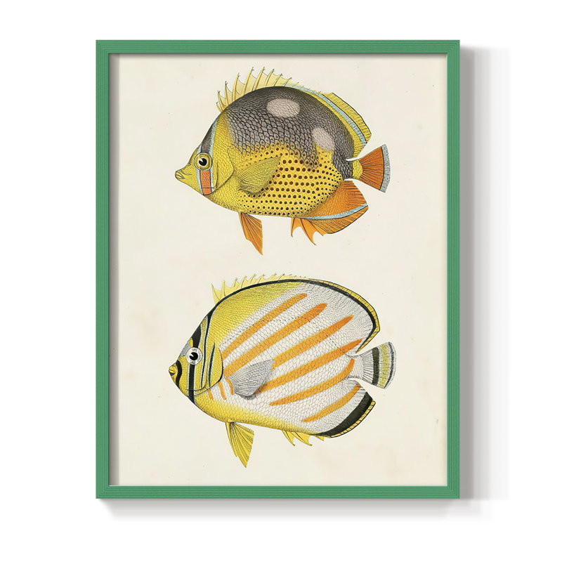 «Yellow & Gray Fish IV», reproduction encadrée - bois massif, Vert, H 10 po x l 8 po