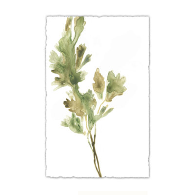 Earthtone Herbs I by June Erica Vess - Painting