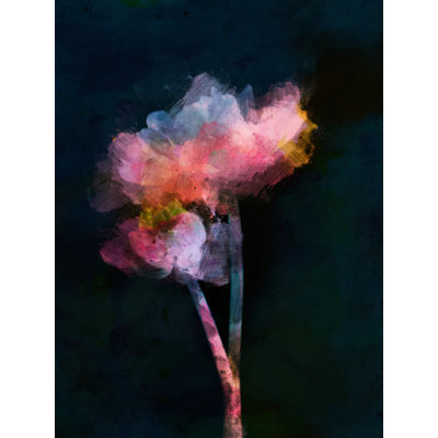 Flowers On A Dark Background Print