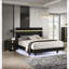 Ensemble de mobilier de chambre à coucher, grand lit 3 pièces noir / doré moderne avec DEL + 2 tables de chevet, bordure en acrylique | Bois d'ingénierie, métal | Lits standard-1960089030-1960089024