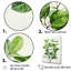 «Green Elegance Leaves» sur toile-797869095-797869094