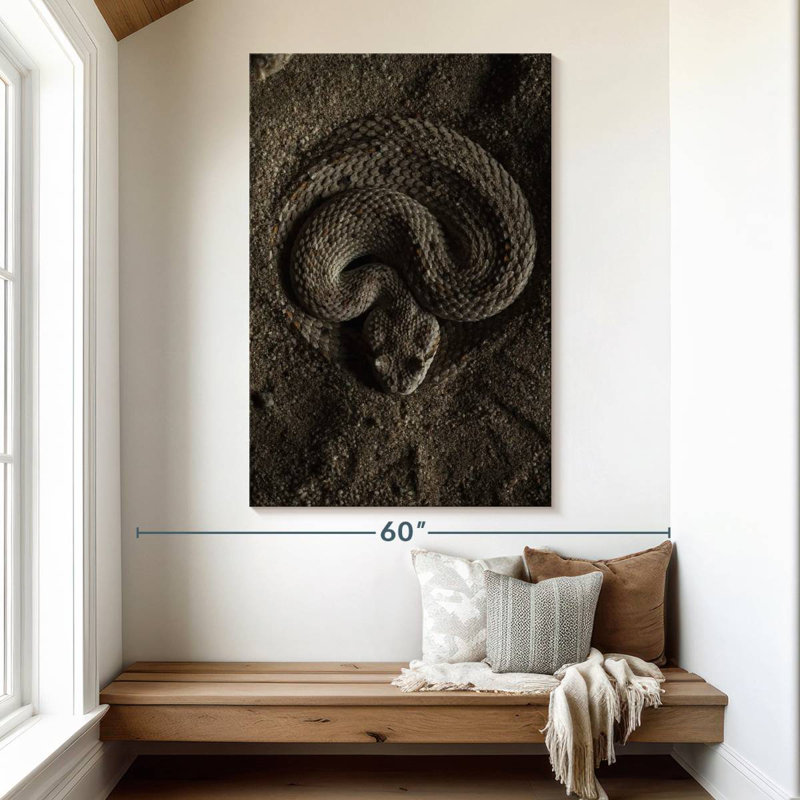 Brampt Coiled Horned Rattlesnake, 51" H x 34" W