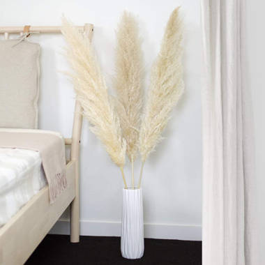 Decorative dried pampas grass natural w/plastic pot 150cm