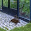 Outdoor Boot Scraper