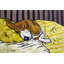«Beagle Sleeping» par Jay Schmetz - reproduction d'art sur toile-22200949