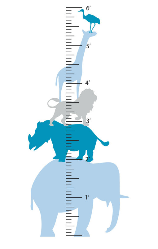 Décalcomanie murale graphique à croissance animale, Bleu clair / thé / gris