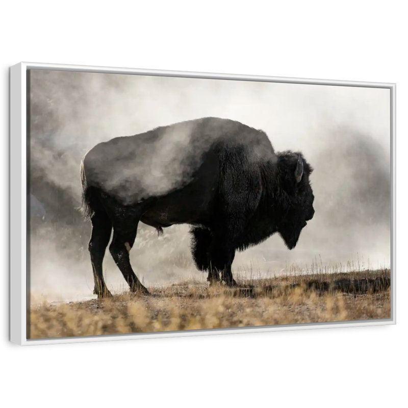 Geyser Basin, Floating Frame White, 31" X 21"